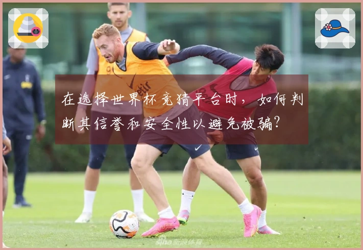 在选择世界杯竞猜平台时，如何判断其信誉和安全性以避免被骗？