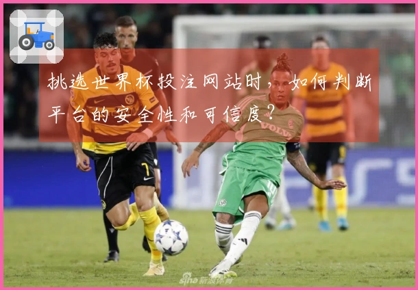 挑选世界杯投注网站时，如何判断平台的安全性和可信度？