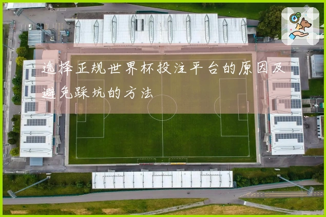 选择正规世界杯投注平台的原因及避免踩坑的方法