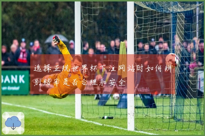 选择正规世界杯下注网站时如何辨别赔率是否合理和安全
