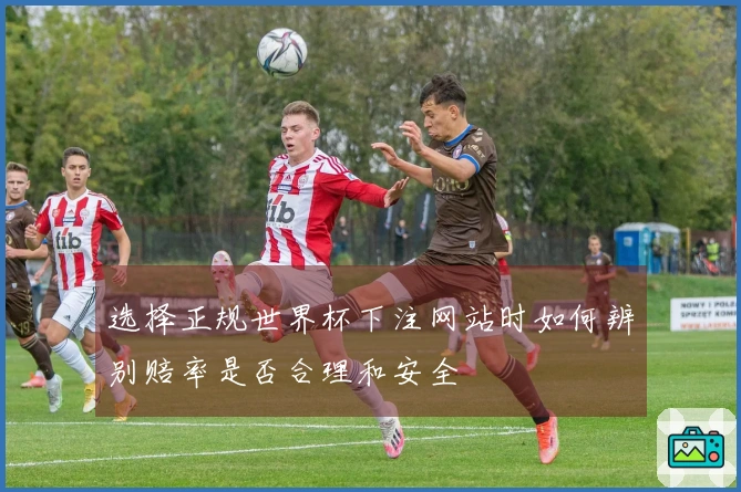 选择正规世界杯下注网站时如何辨别赔率是否合理和安全