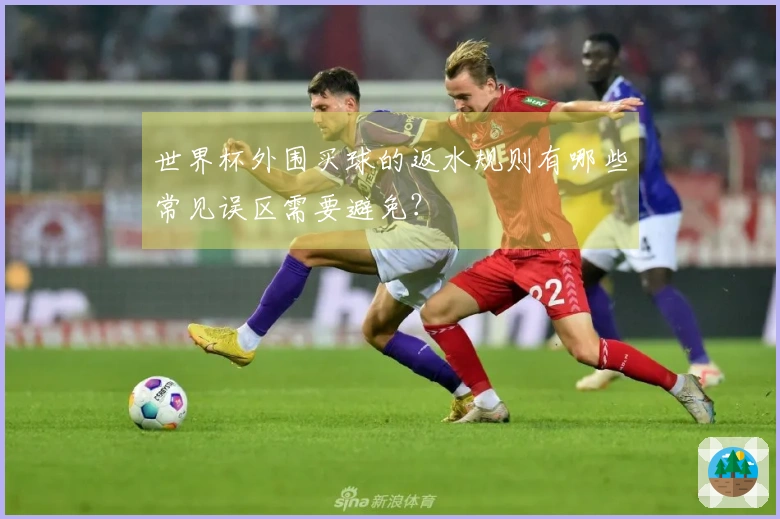 世界杯外围买球的返水规则有哪些常见误区需要避免？
