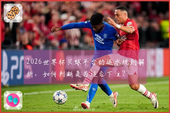 2026世界杯买球平台的返水规则解析，如何判断是否适合下注？
