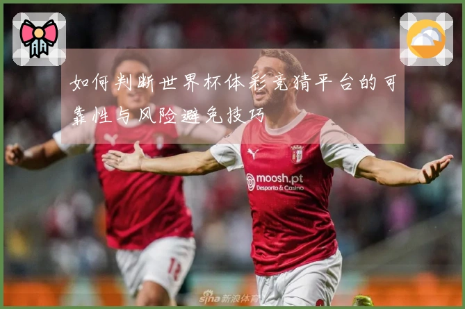 如何判断世界杯体彩竞猜平台的可靠性与风险避免技巧