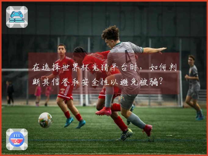 在选择世界杯竞猜平台时，如何判断其信誉和安全性以避免被骗？